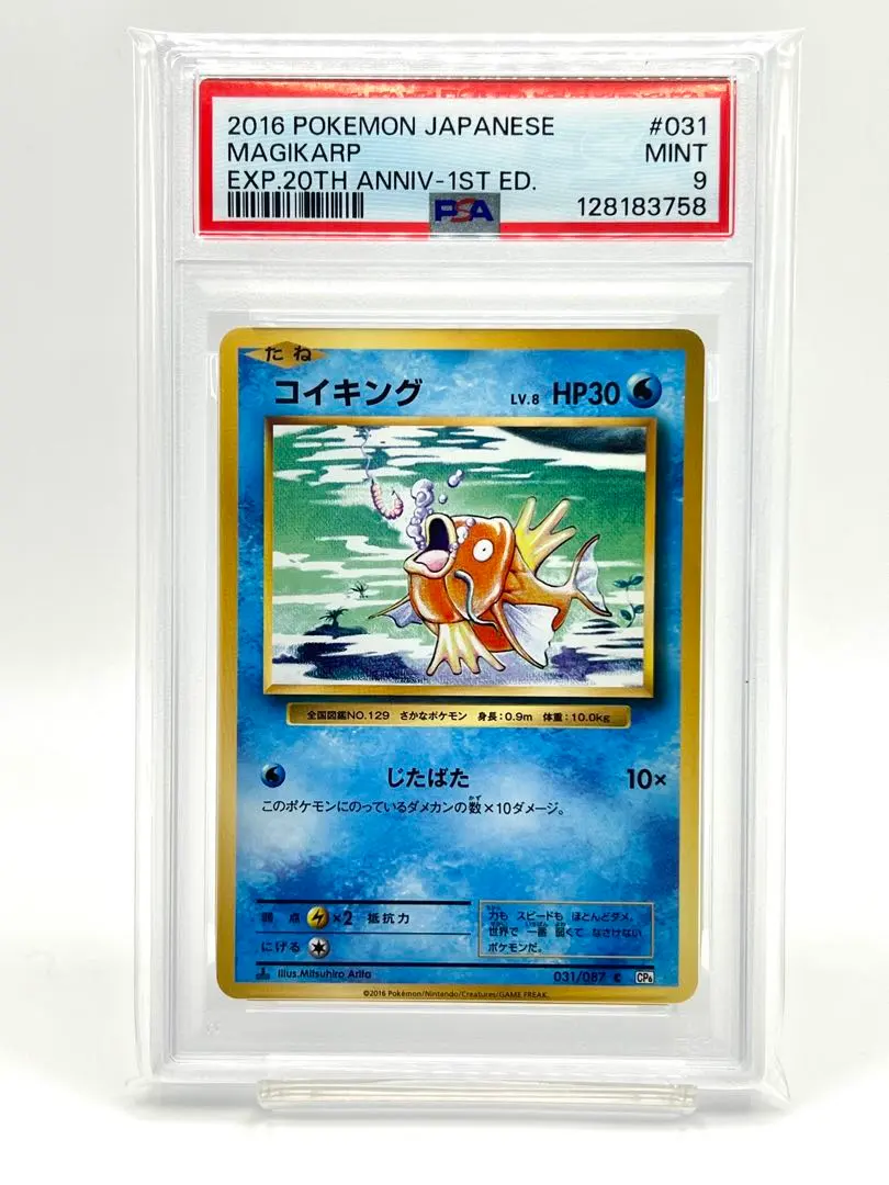 2026年最新】コイキング 20th psa10の人気アイテム - メルカリ