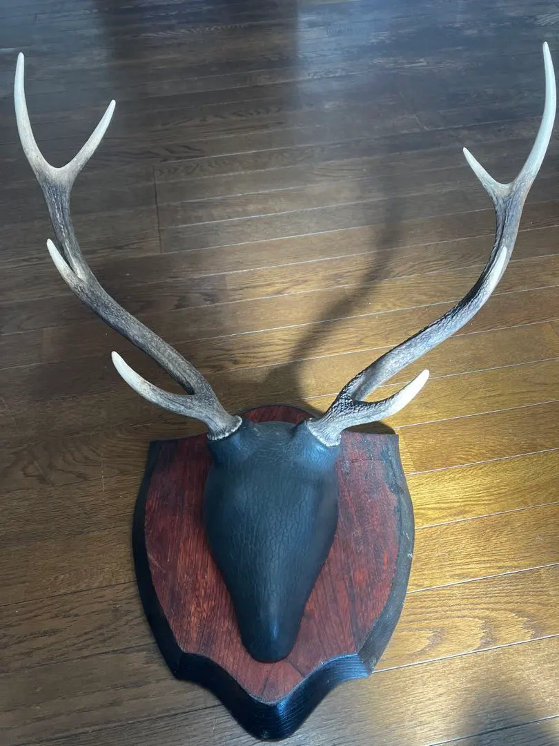 2026年最新】スカルトロフィーの人気アイテム - メルカリ