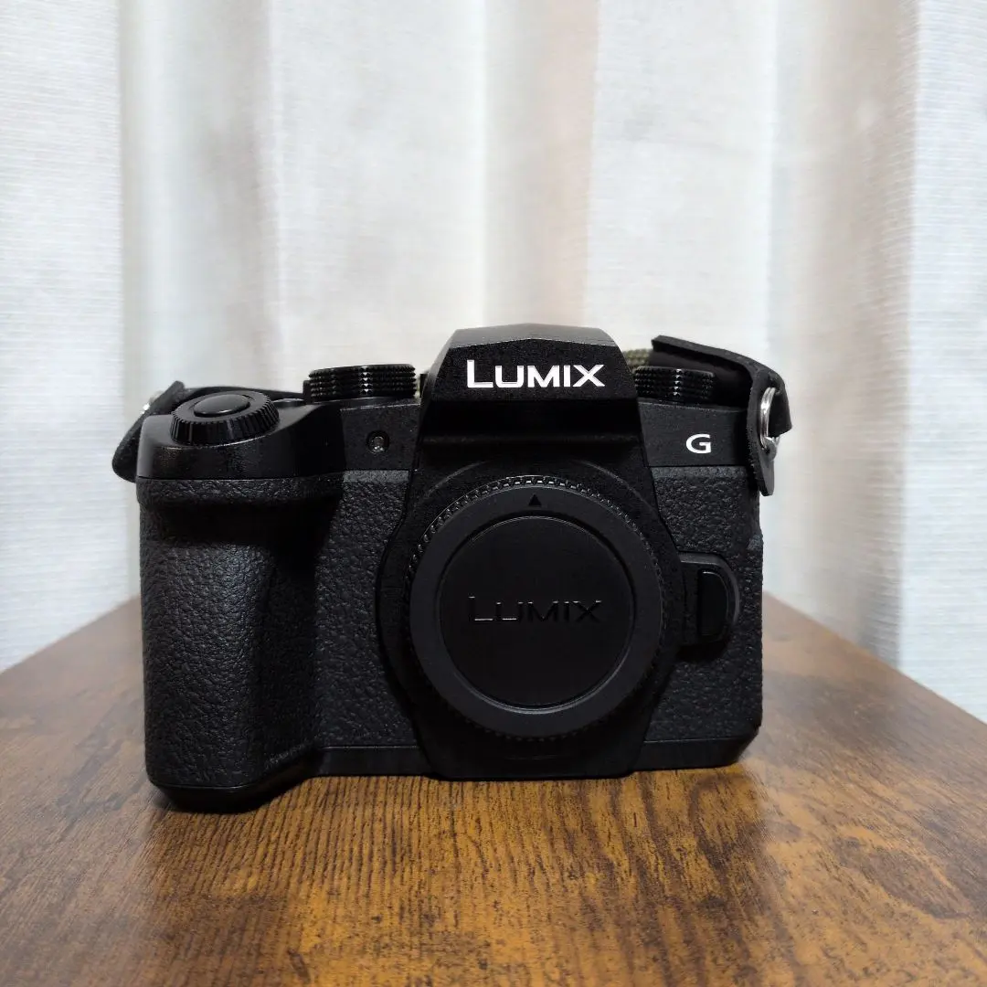 2026年最新】lumix g99の人気アイテム - メルカリ