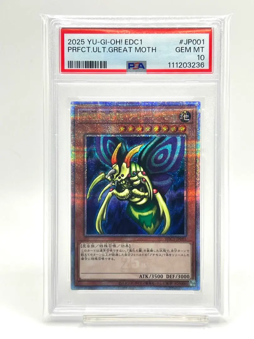 2026年最新】ホーリーナイトドラゴン psa10の人気アイテム - メルカリ