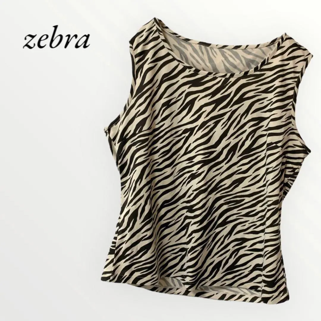 2026年最新】ゼブラ柄キャミソールはの人気アイテム - メルカリ