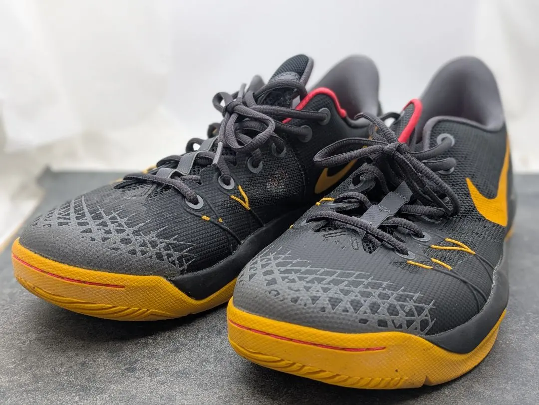 AE1 LOW 26cm プレーオフ着用カラー アンソニー エドワーズ バッシュ