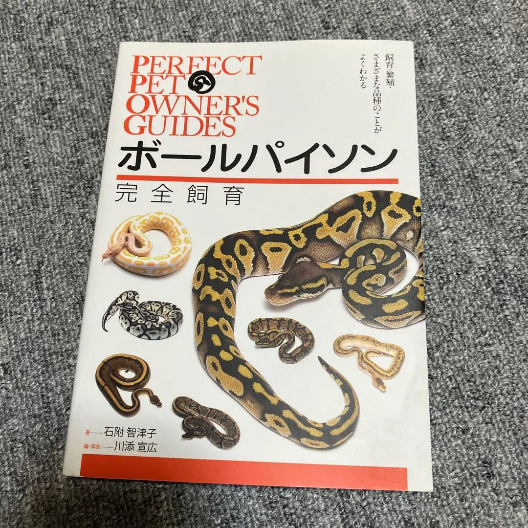 2026年最新】パーフェクトボールパイソンの人気アイテム - メルカリ