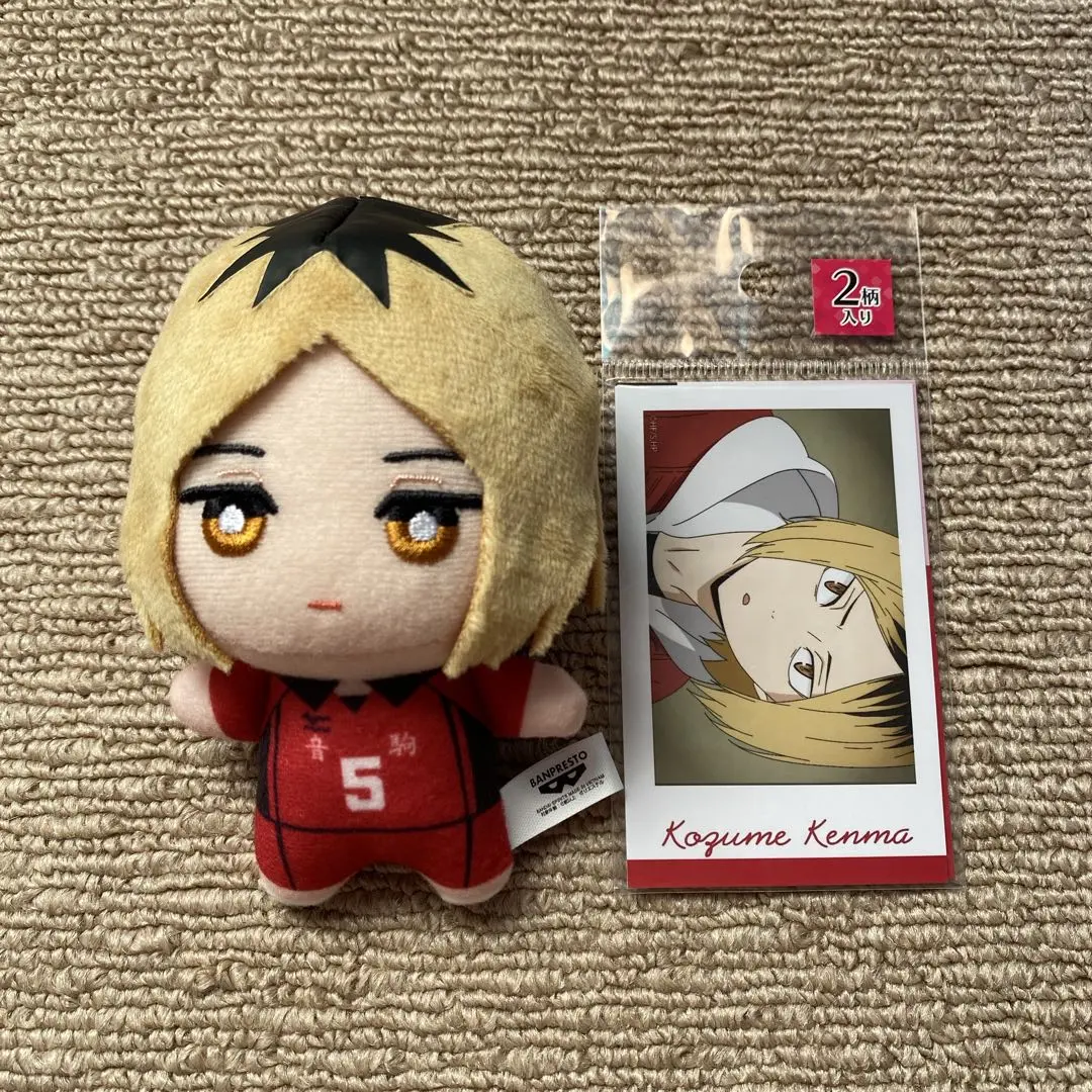 2026年最新】ハイキュー ちみっともぬい vol.1の人気アイテム - メルカリ