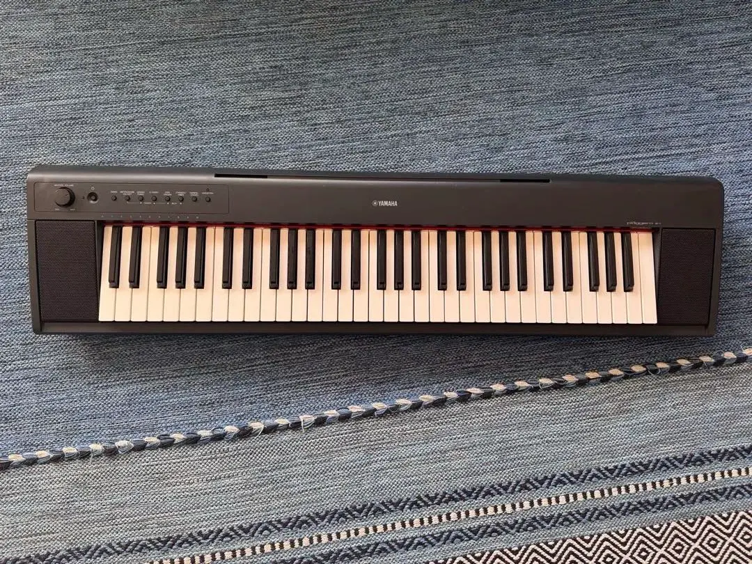 2026年最新】NP-11 ヤマハの人気アイテム - メルカリ