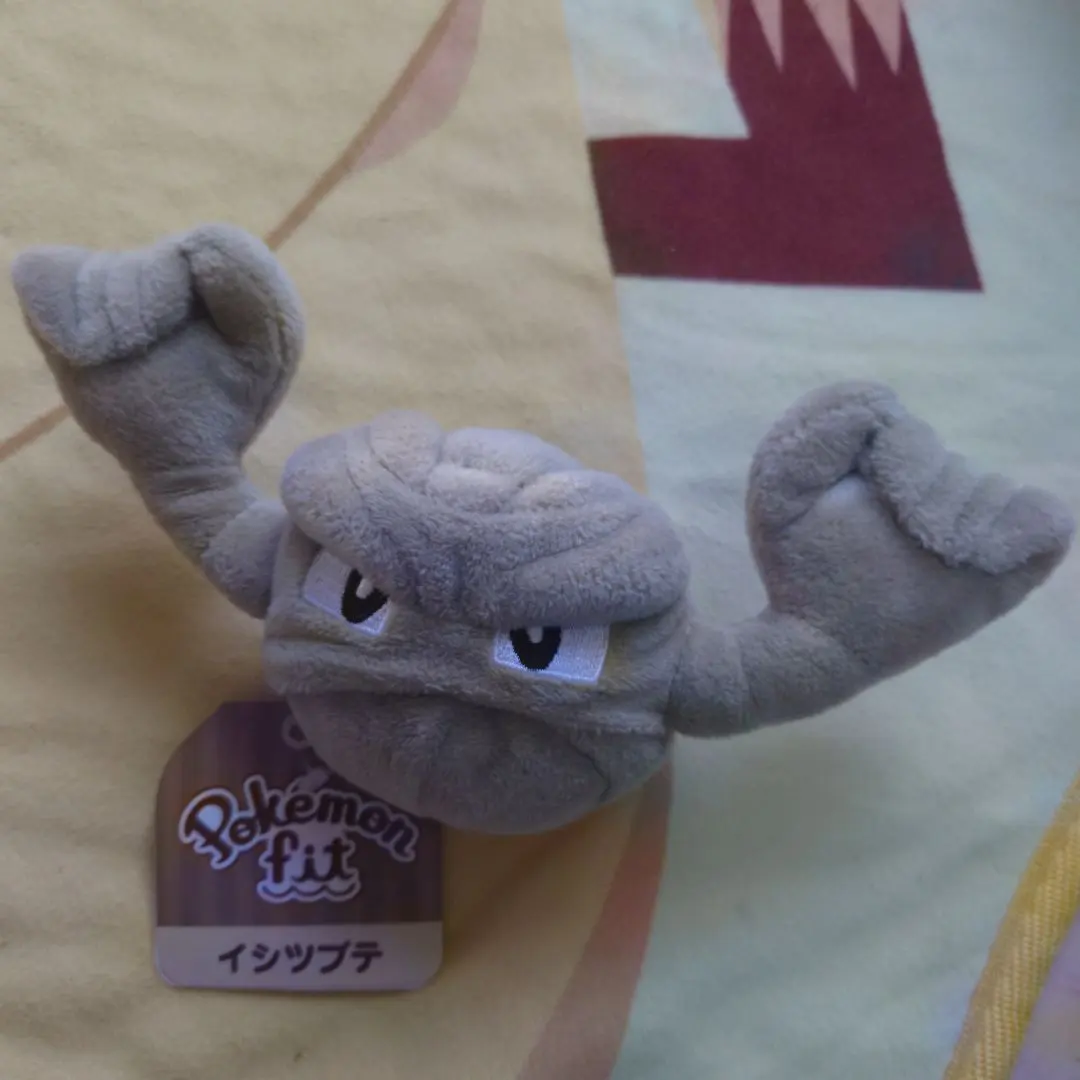 2026年最新】イシツブテ ぬいぐるみの人気アイテム - メルカリ