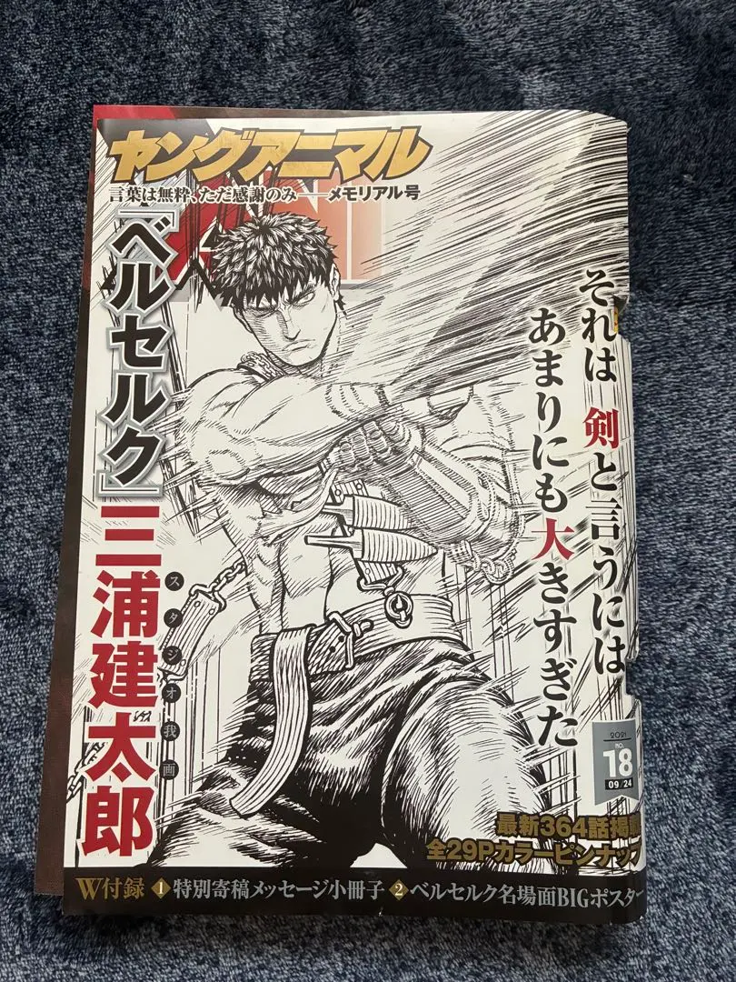 m58491552358_1.jpg?1763688852