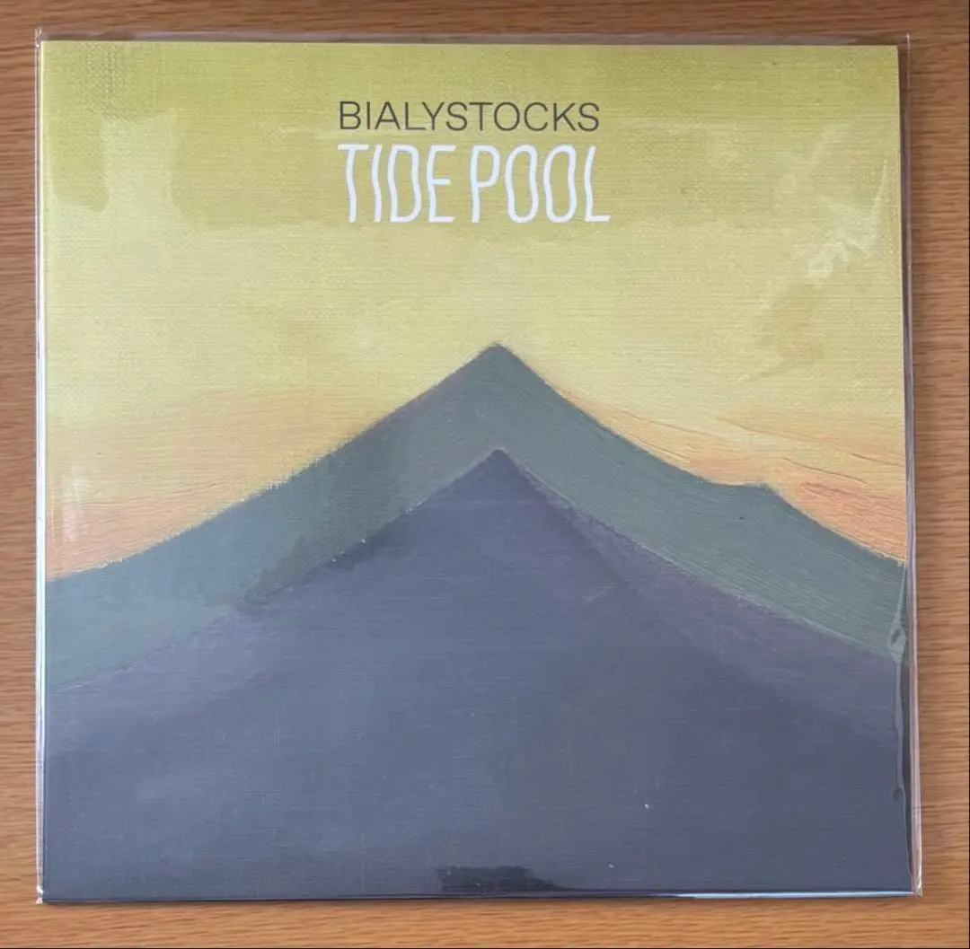 2026年最新】bialystocks レコードの人気アイテム - メルカリ