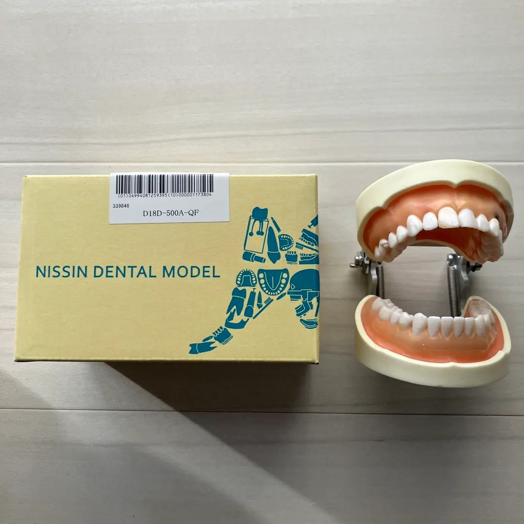 2026年最新】顎模型 ニッシンの人気アイテム - メルカリ