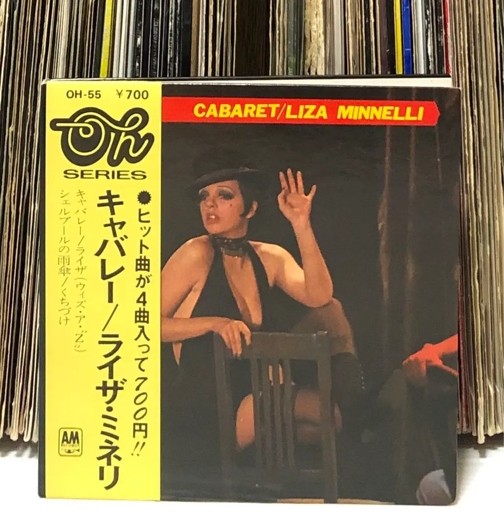 2026年最新】ライザミネリの人気アイテム - メルカリ