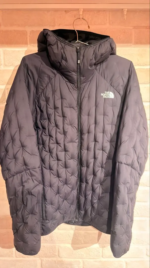 2026年最新】アストロライトフーディ ノースフェイスの人気アイテム