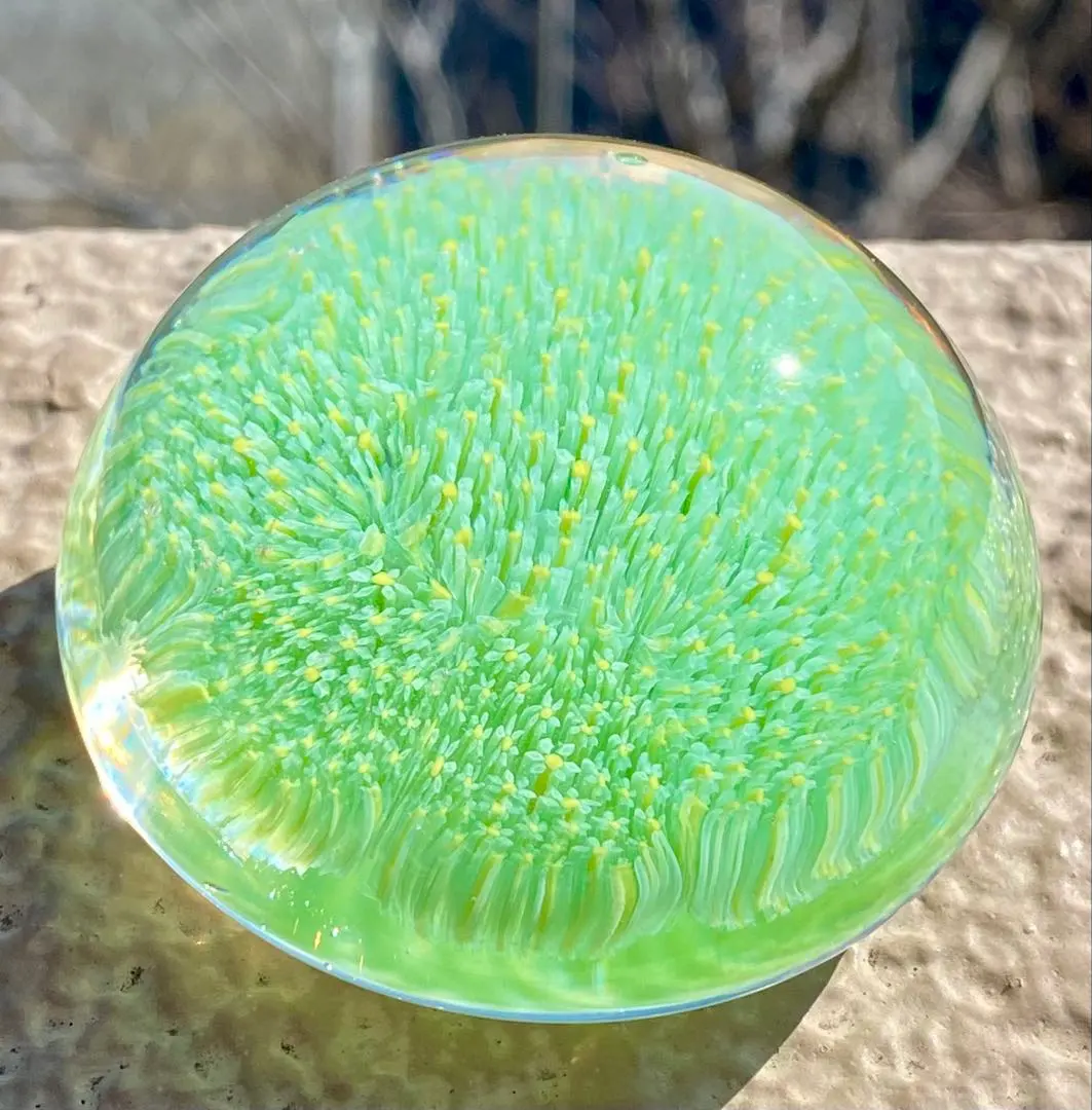 2026年最新】ペーパーウェイト パースシャーの人気アイテム - メルカリ