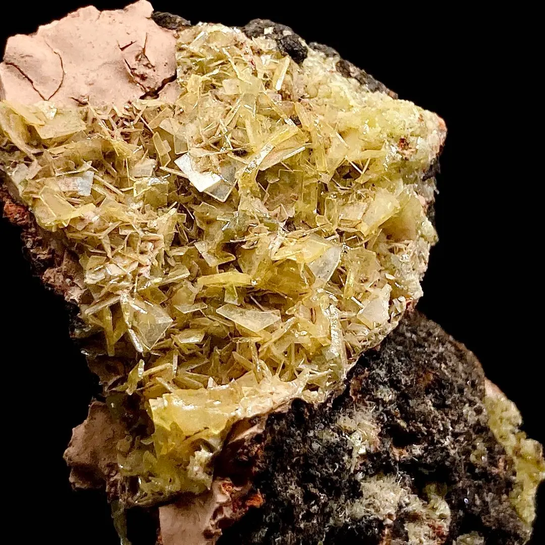 2026年最新】ウルフェナイトの人気アイテム - メルカリ