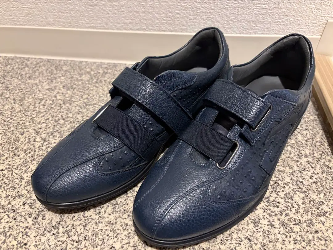 2026年最新】Alberto Guardianiの人気アイテム - メルカリ