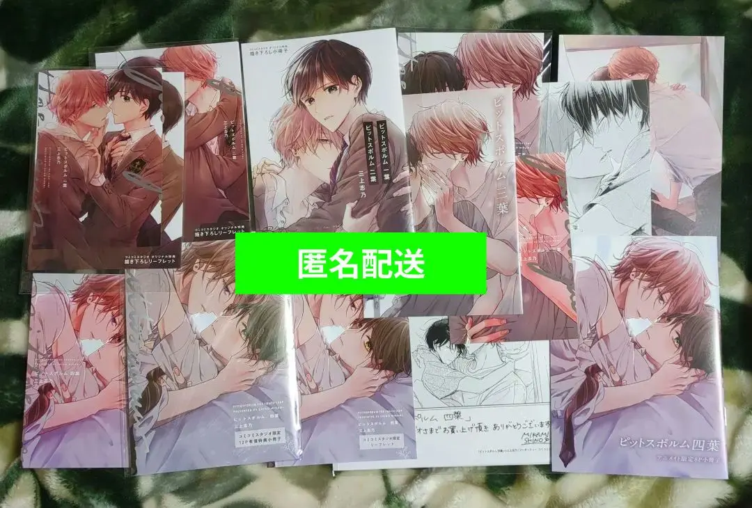 2026年最新】ピットスポルムリーフレットの人気アイテム - メルカリ