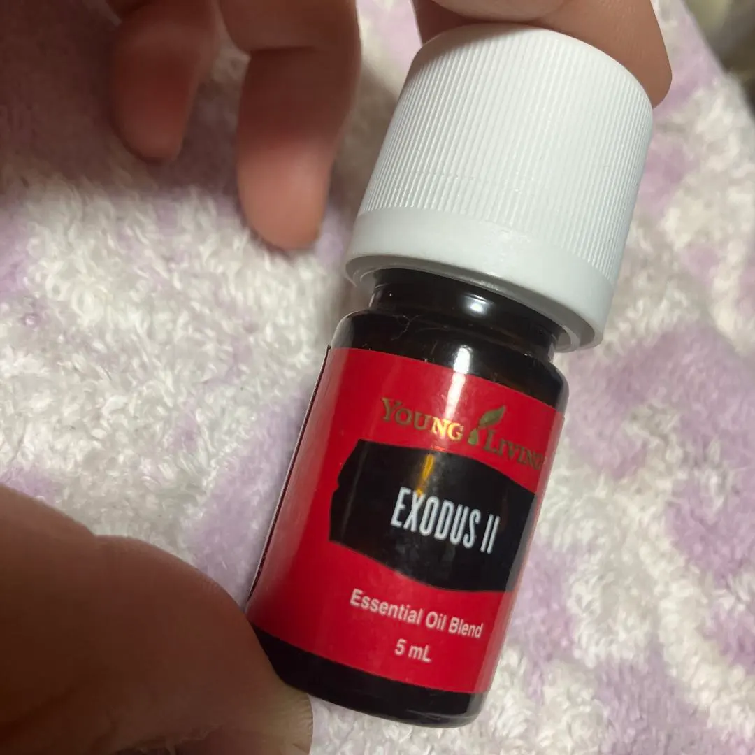 2026年最新】エクソダス ヤングの人気アイテム - メルカリ