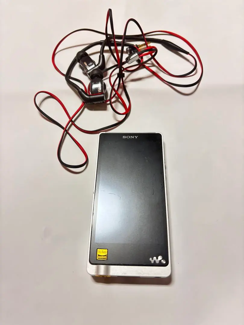 2026年最新】nw-zx1 中古の人気アイテム - メルカリ