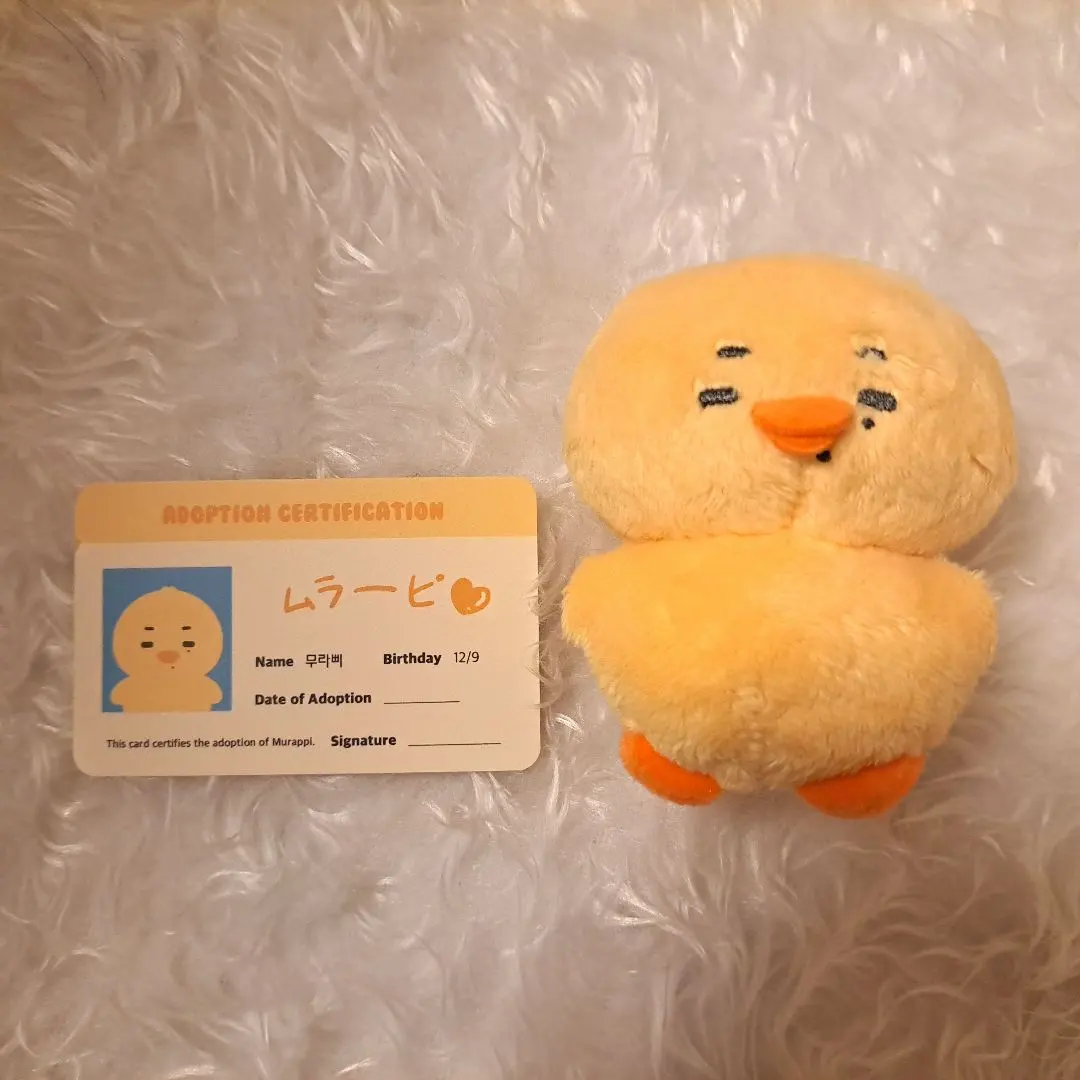 2026年最新】ニキ ぬいぐるみ enhypen マスターの人気アイテム - メルカリ