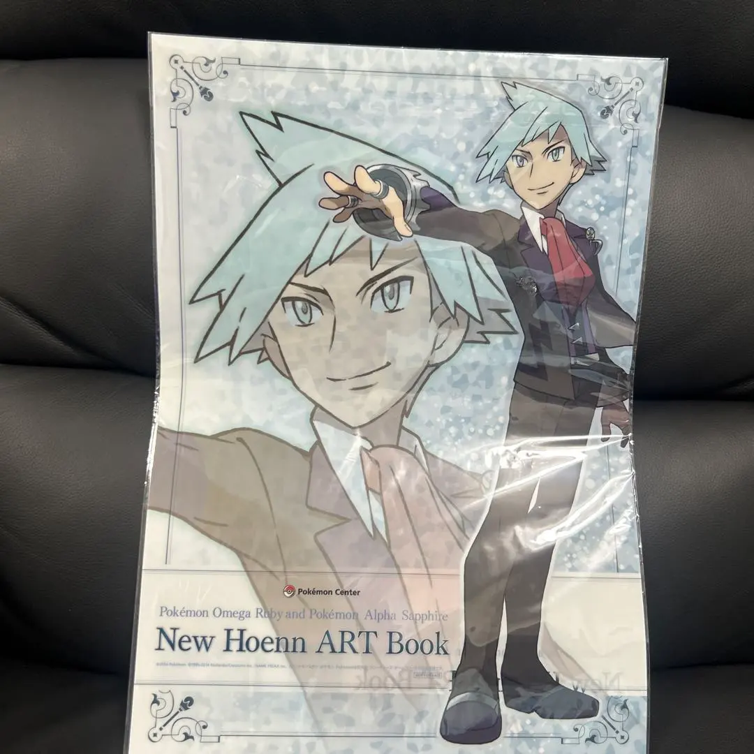 2026年最新】New Hoenn ART Bookの人気アイテム - メルカリ