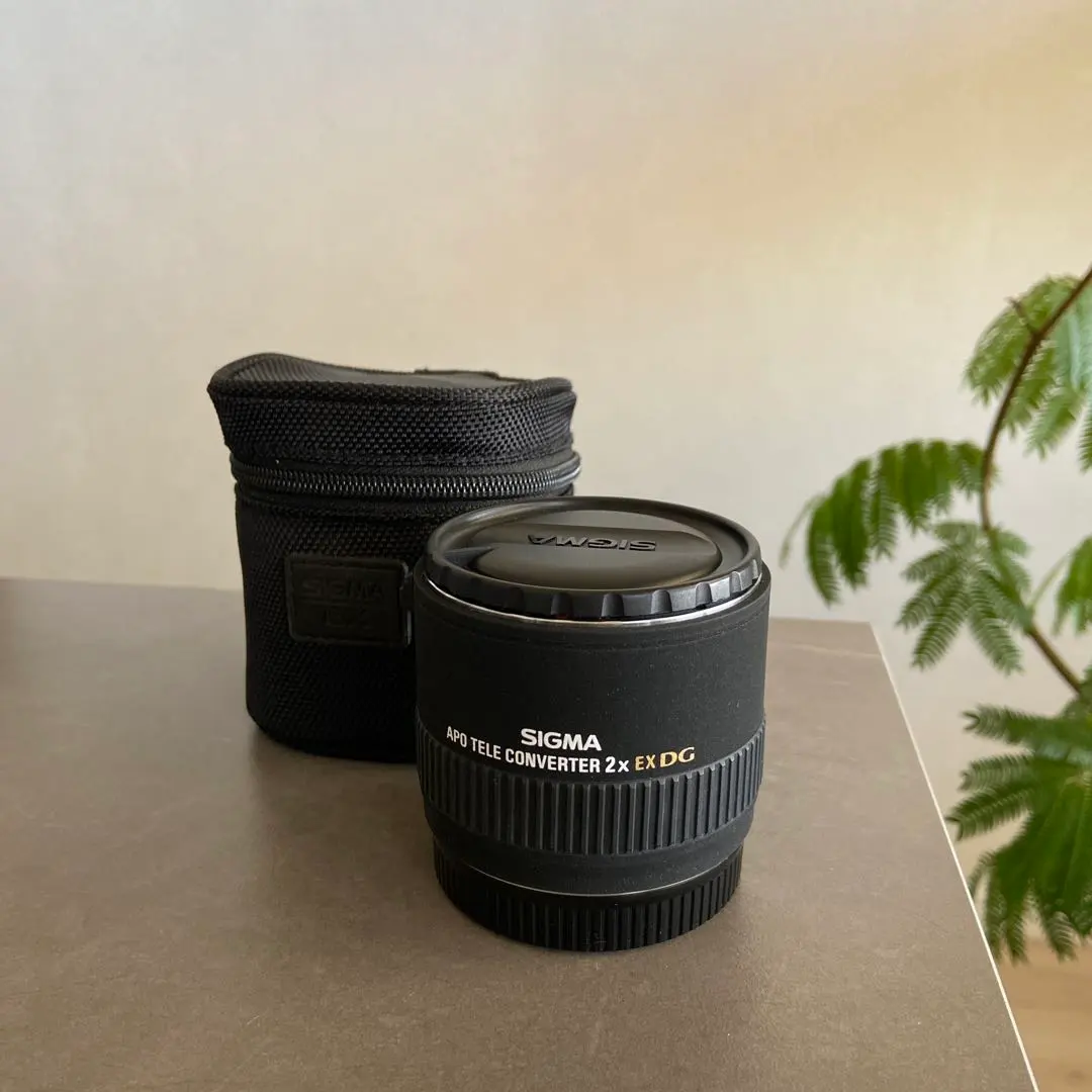2026年最新】SIGMA EX APO TELE CONVERTER 2の人気アイテム - メルカリ