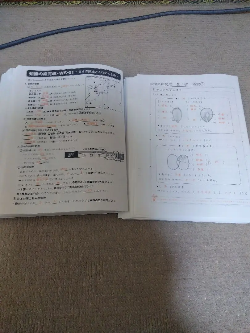 2026年最新】サピックス 理科 知識の総完成の人気アイテム - メルカリ