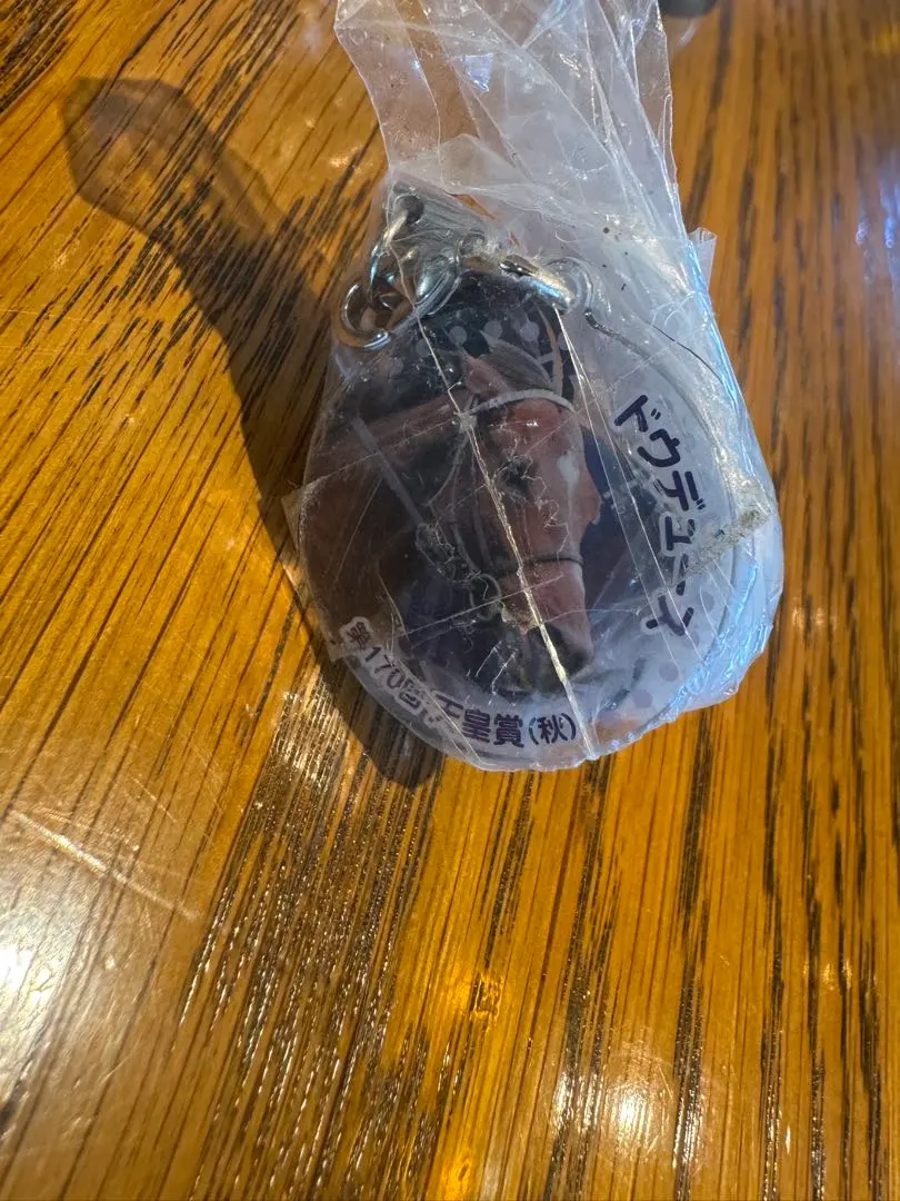 2026年最新】ドウデュース アイドルホース ミニコレクションの人気