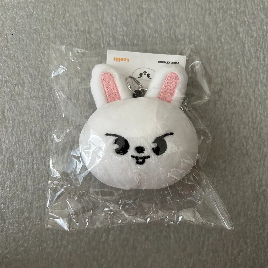 2026年最新】skzoo ミニフェイスキーリングの人気アイテム - メルカリ