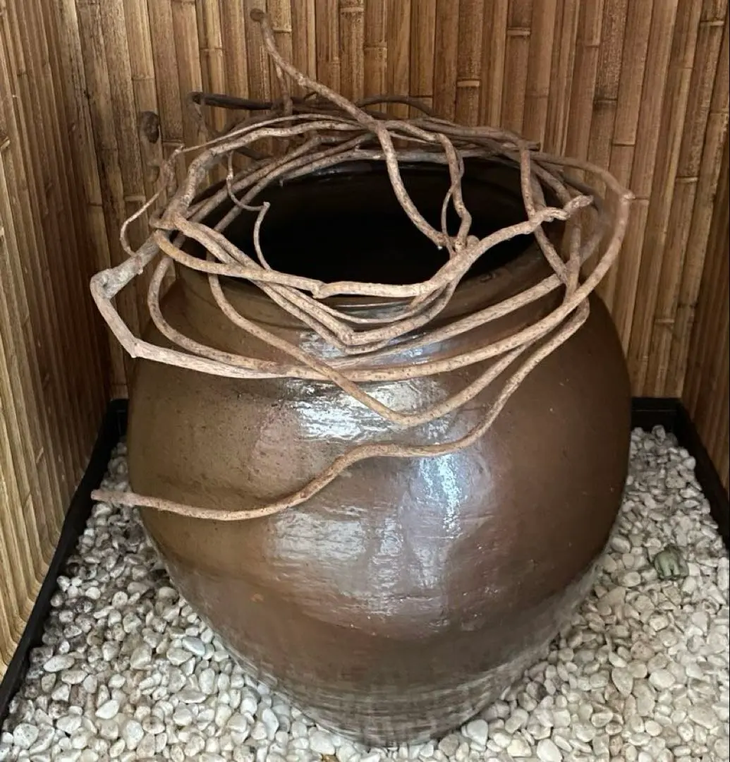 2026年最新】水瓶 めだかの人気アイテム - メルカリ