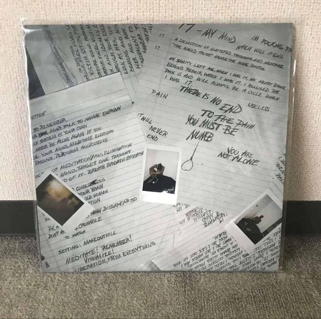 2026年最新】xxxtentacion レコードの人気アイテム - メルカリ