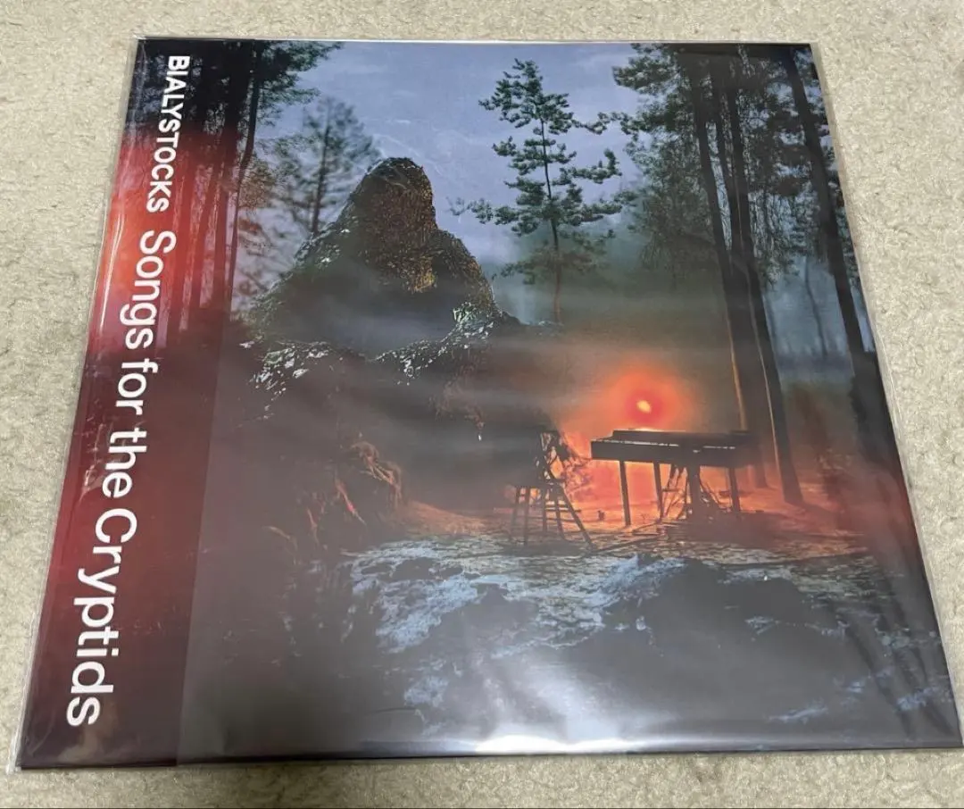 2026年最新】bialystocks レコードの人気アイテム - メルカリ