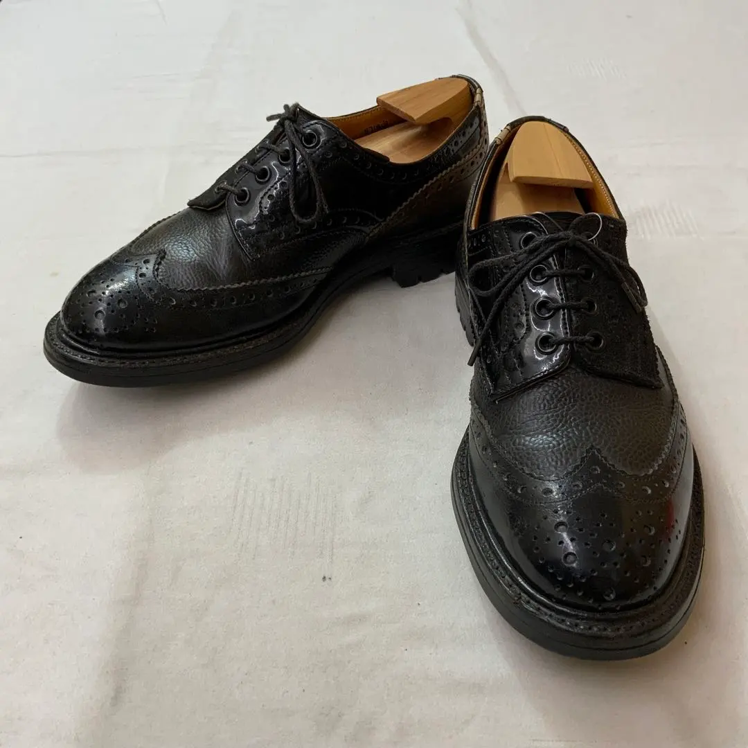 2026年最新】ネペンテス トリッカーズの人気アイテム - メルカリ