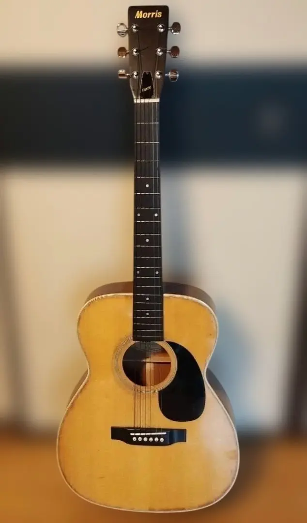 2026年最新】MORRIS ギター F-20の人気アイテム - メルカリ