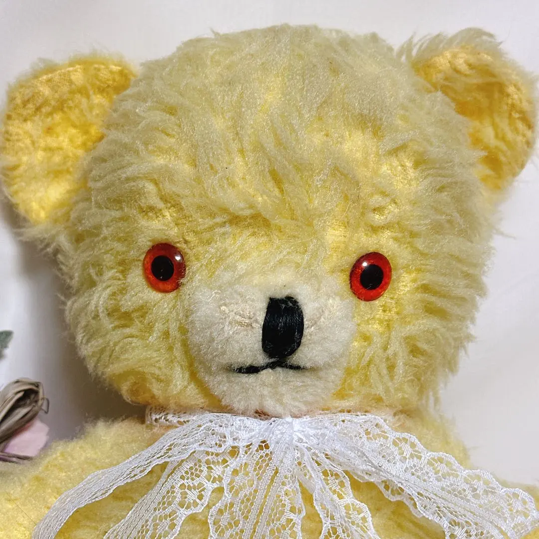 2026年最新】ペディグリー ベアの人気アイテム - メルカリ