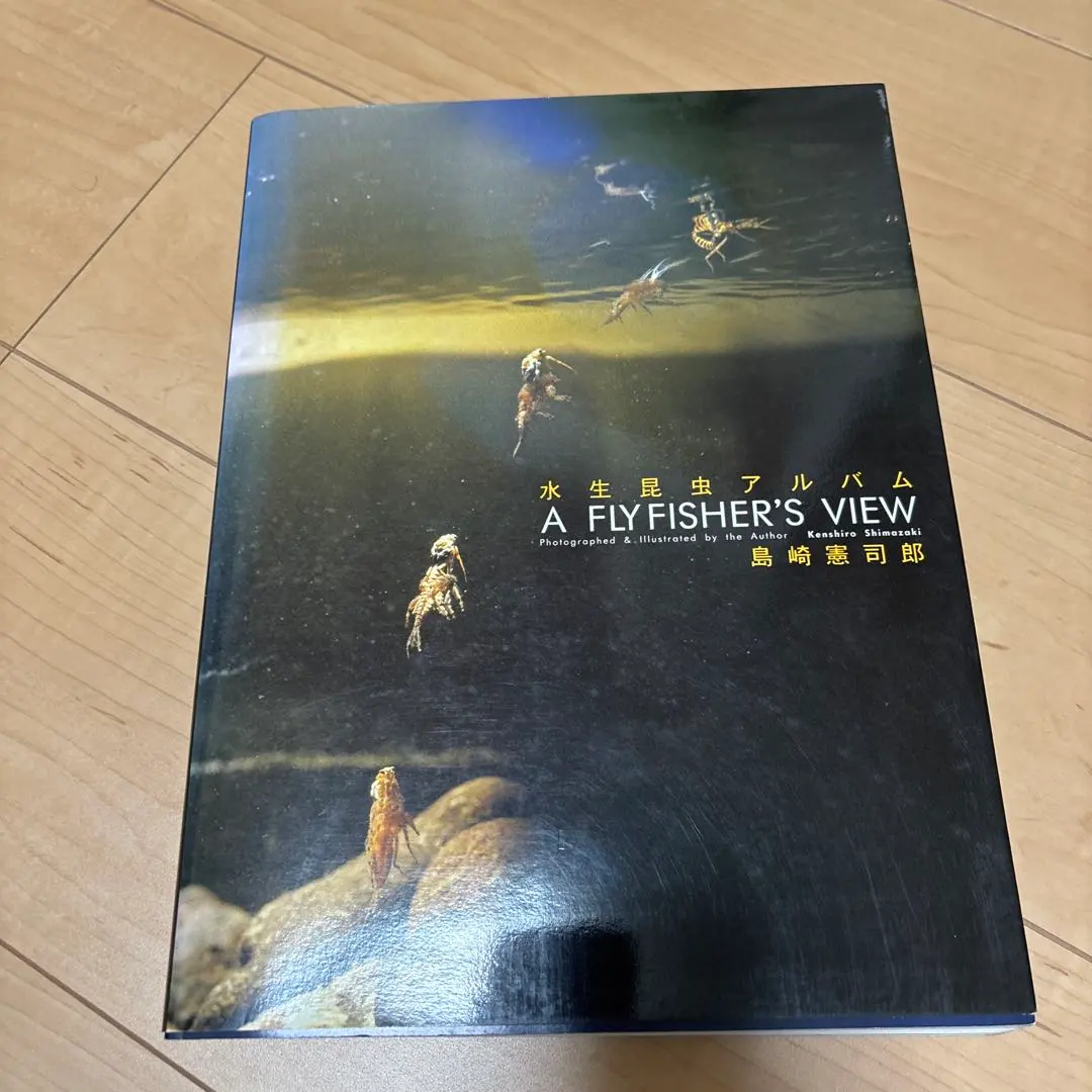 2026年最新】水生昆虫アルバムの人気アイテム - メルカリ