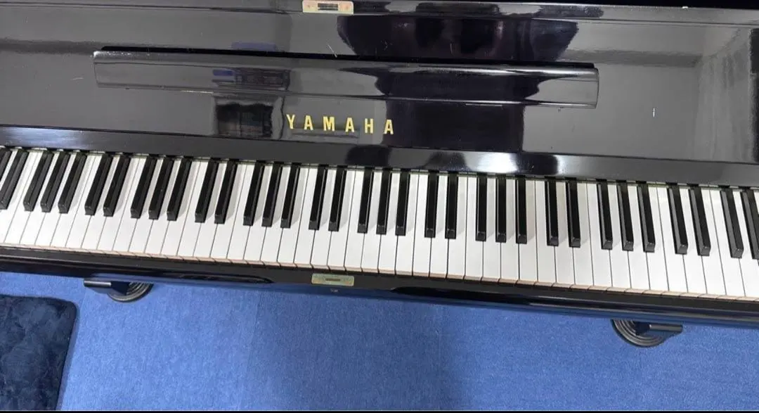 2026年最新】ヤマハ U3Hの人気アイテム - メルカリ