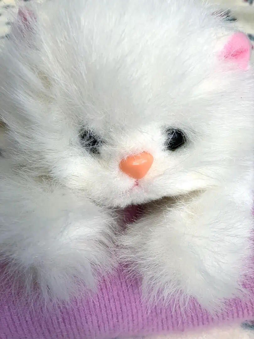 2026年最新】ぬいぐるみ オオイケ 猫の人気アイテム - メルカリ