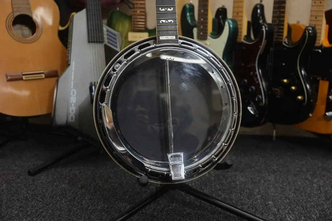 2026年最新】tokai humming birdの人気アイテム - メルカリ