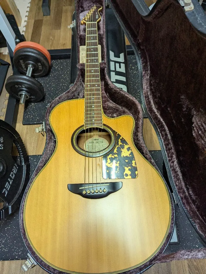 2026年最新】apx ギター 長渕剛の人気アイテム - メルカリ