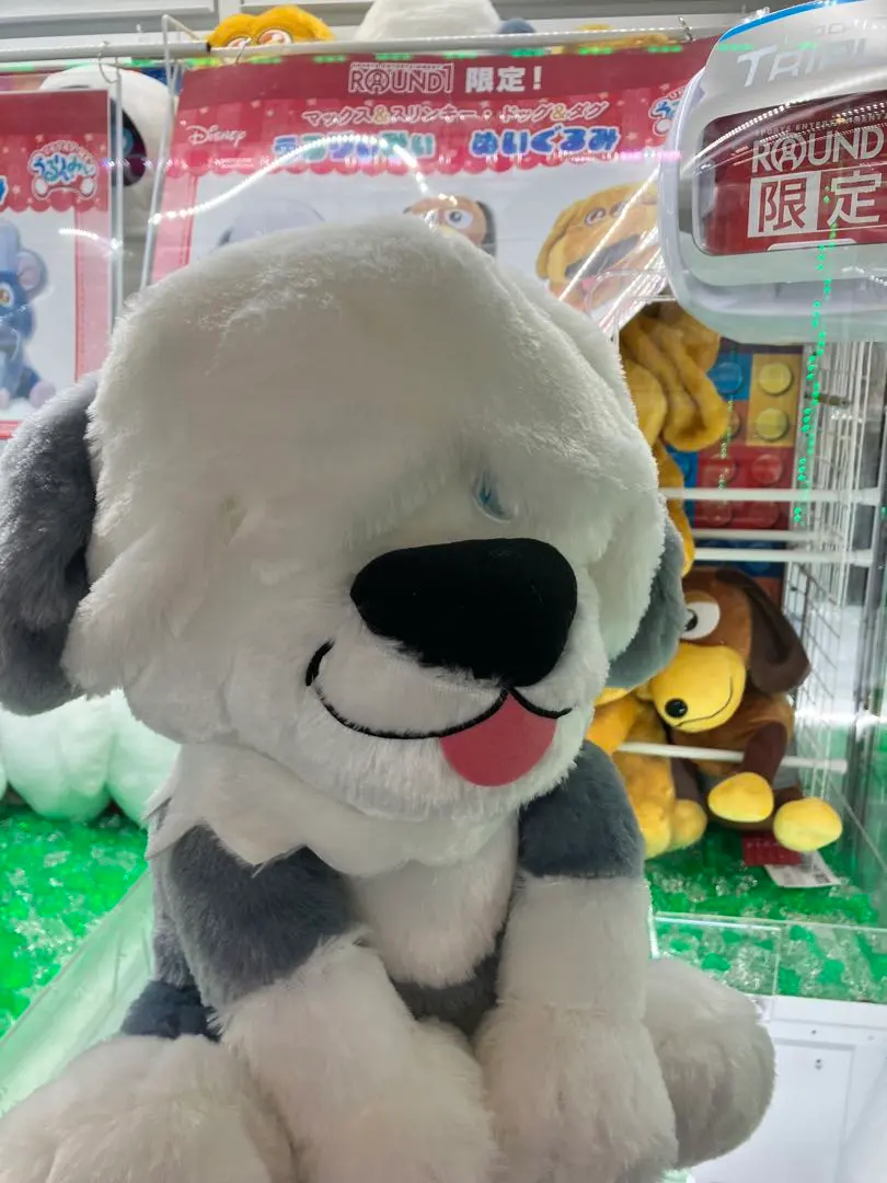 2026年最新】オールドイングリッシュシープドッグぬいぐるみの人気