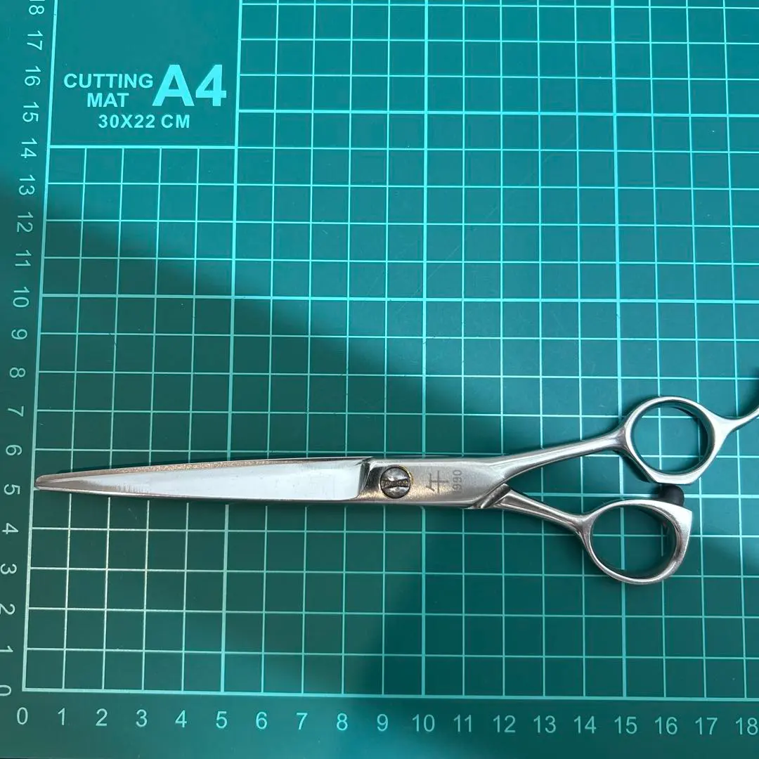 2026年最新】天洋 セニングの人気アイテム - メルカリ