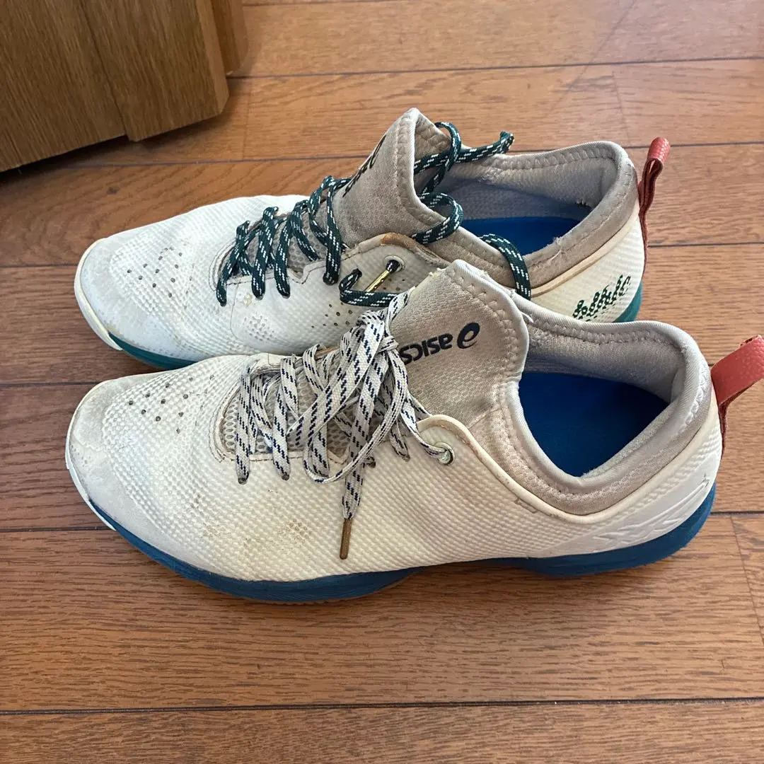 2026年最新】ボーラホリック ballaholic バッシュ 28の人気アイテム