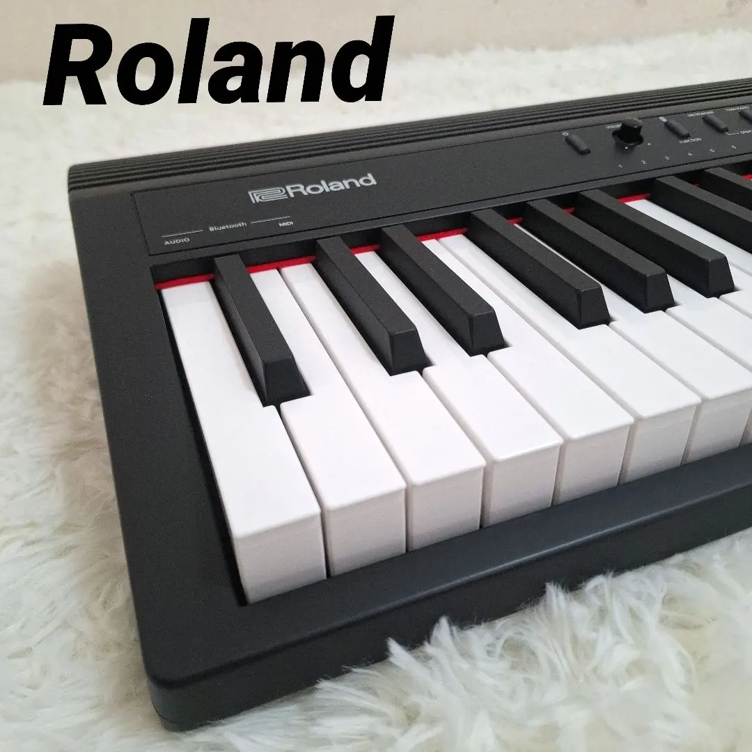 2026年最新】roland go piano 61の人気アイテム - メルカリ