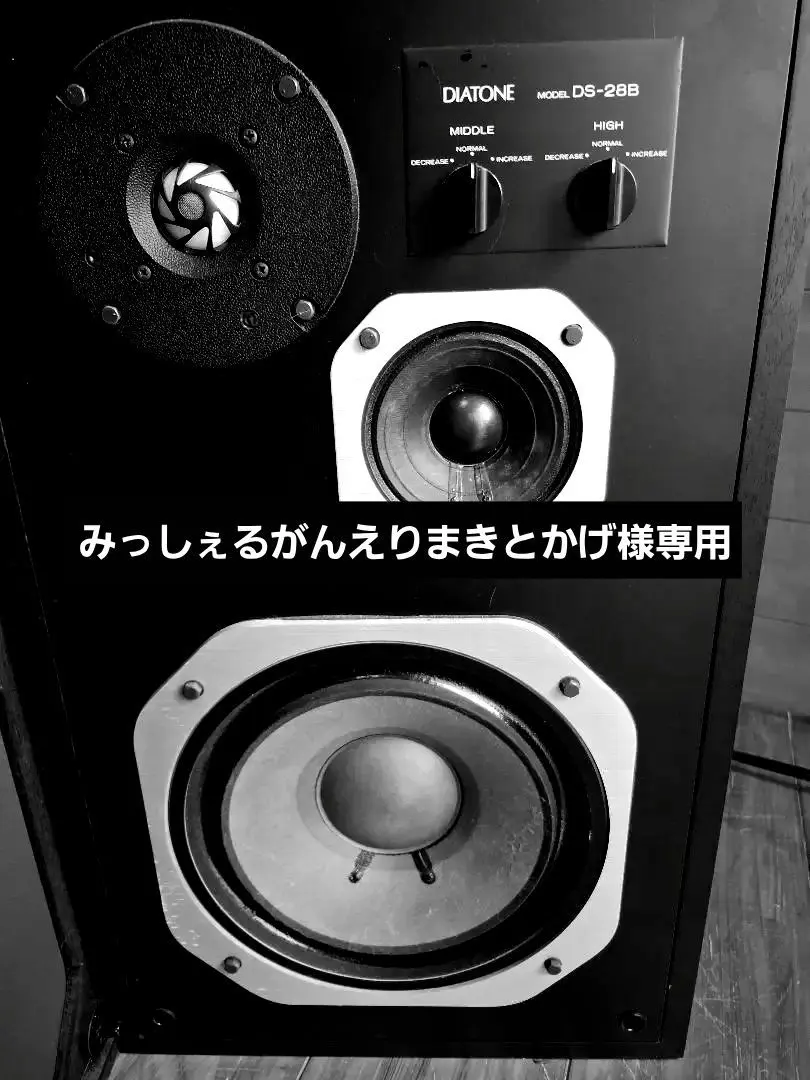 2026年最新】diatone ds 28Bの人気アイテム - メルカリ