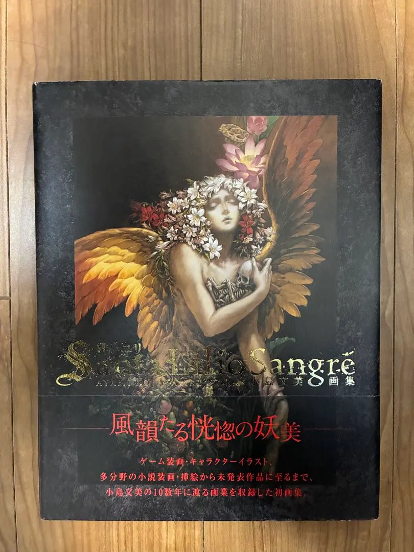 2026年最新】緋いユリ 小島文美画集の人気アイテム - メルカリ