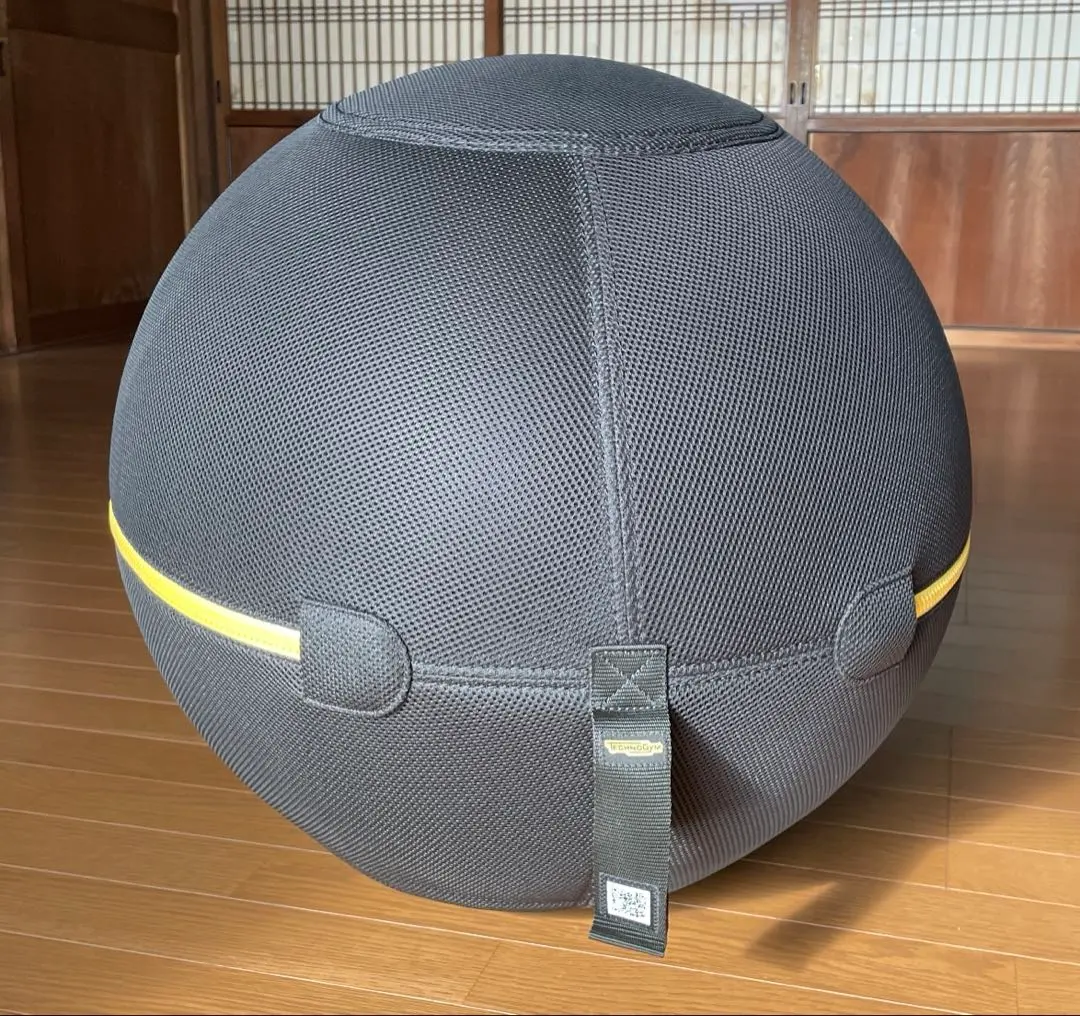 2026年最新】テクノジム バランスボールの人気アイテム - メルカリ