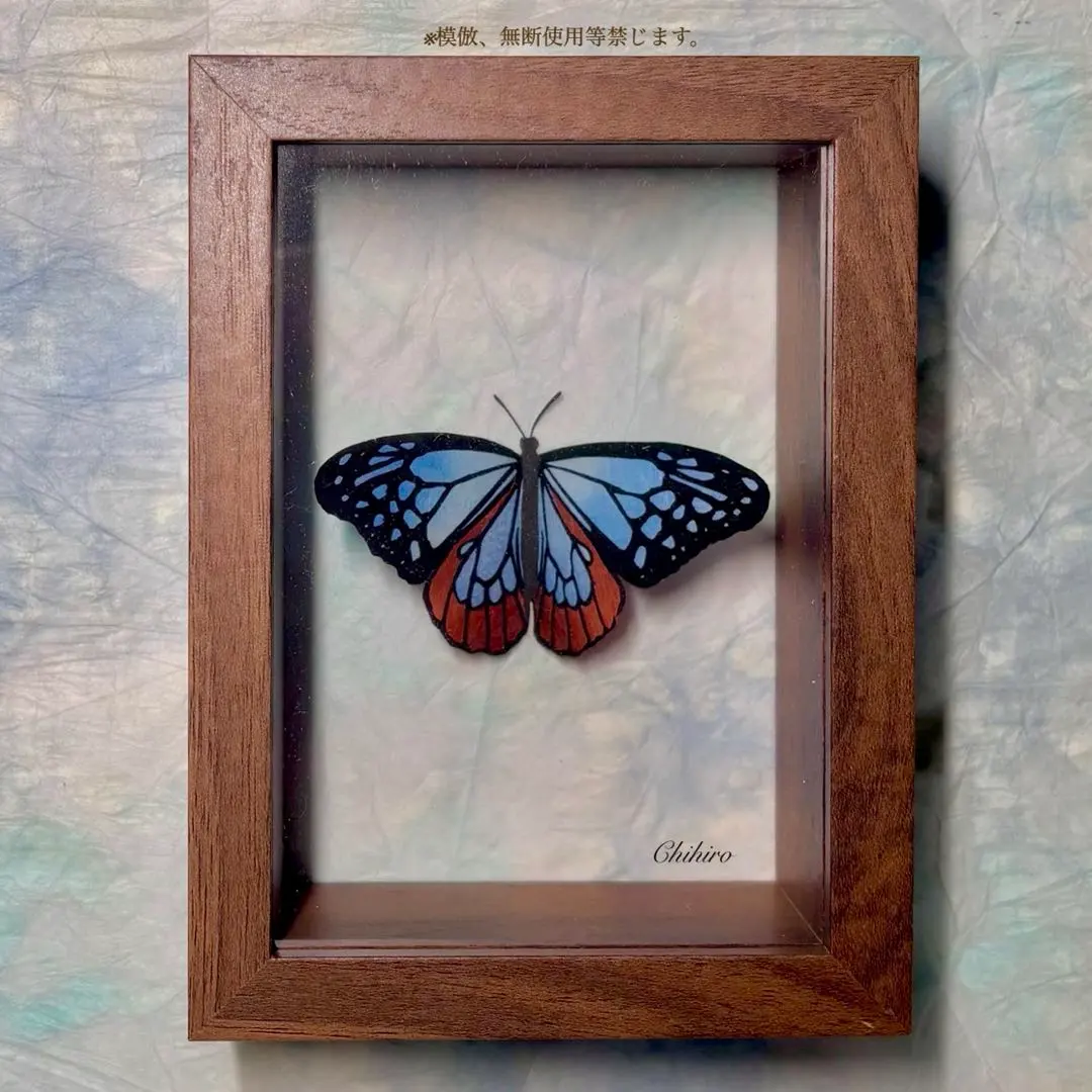 2026年最新】標本箱 ドイツの人気アイテム - メルカリ