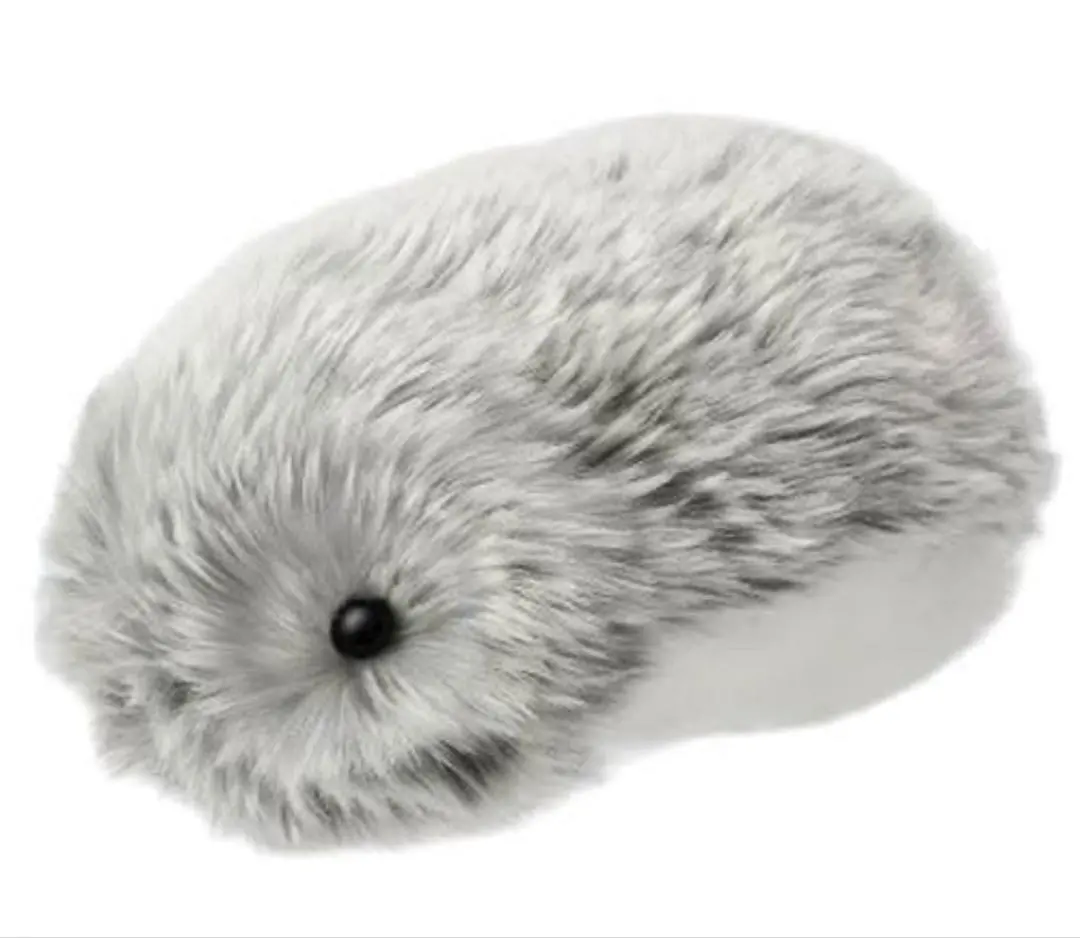 m81209906777_1.jpg?1764249733