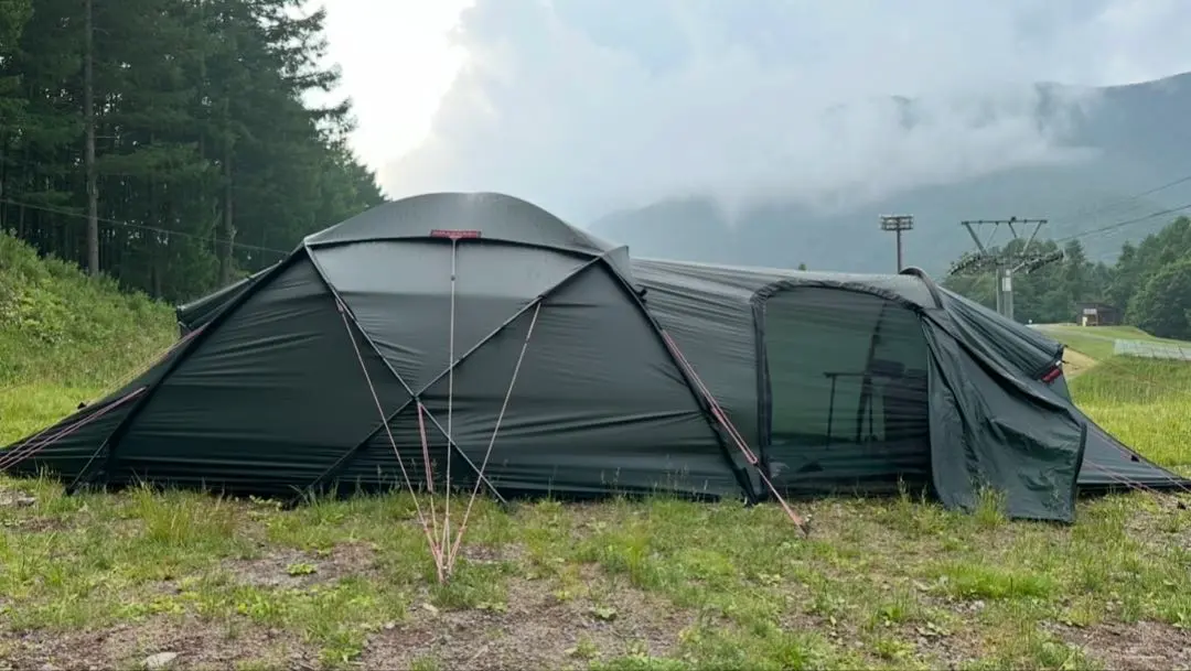 2026年最新】ヒルバーグ サイタリスの人気アイテム - メルカリ