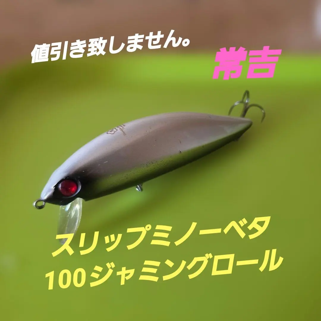 2026年最新】スリップミノー100の人気アイテム - メルカリ