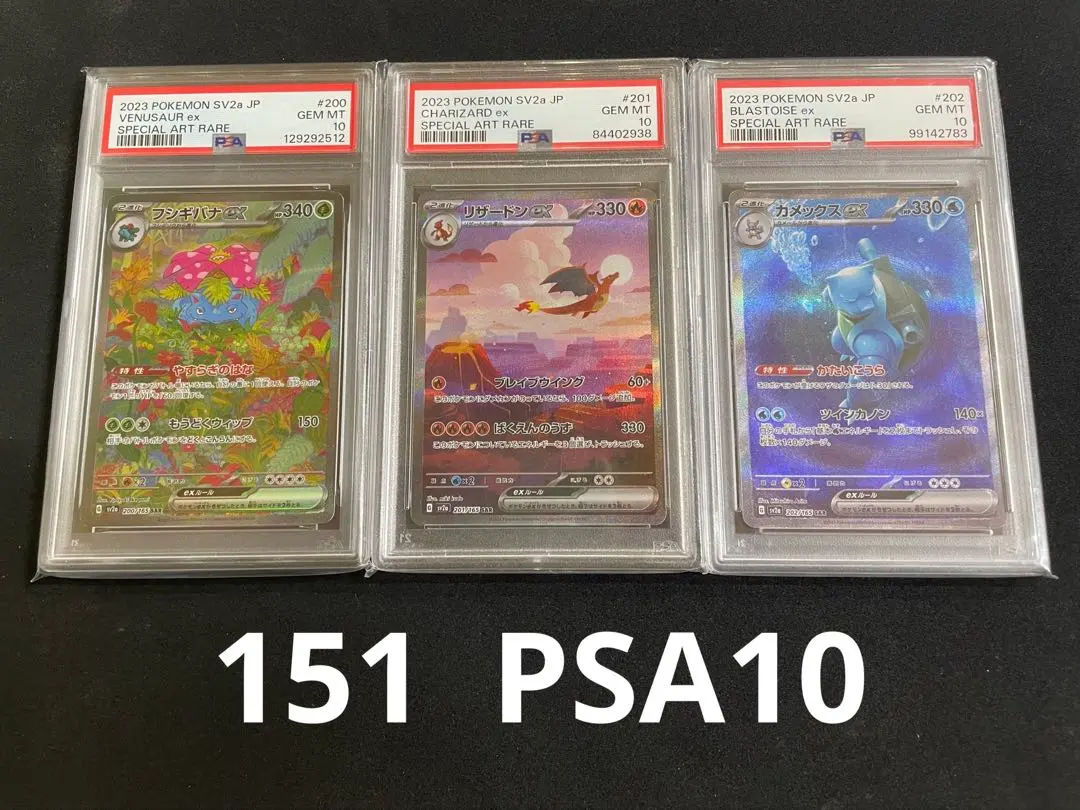 2026年最新】わるいカメックス psa10の人気アイテム - メルカリ